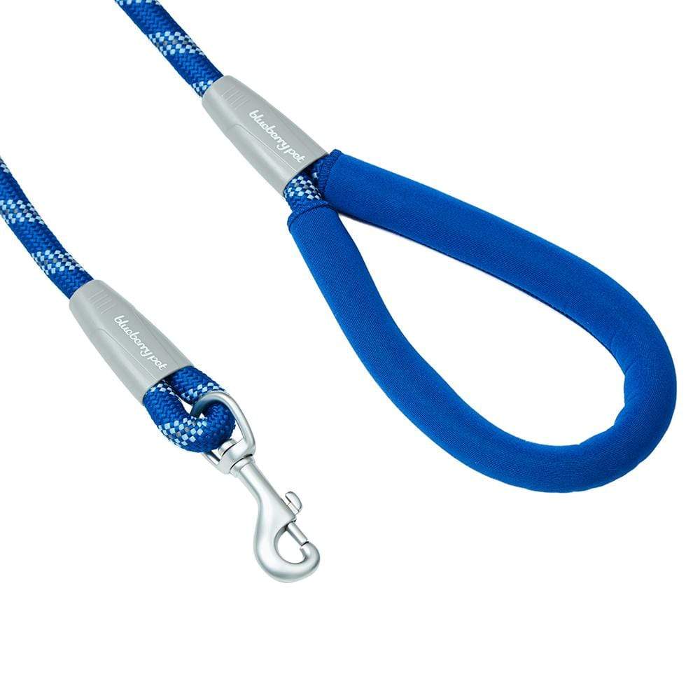 Blueberry Pet Neoprene Handle Rope Leash in Diagonal Stripe - Blue 4 ft