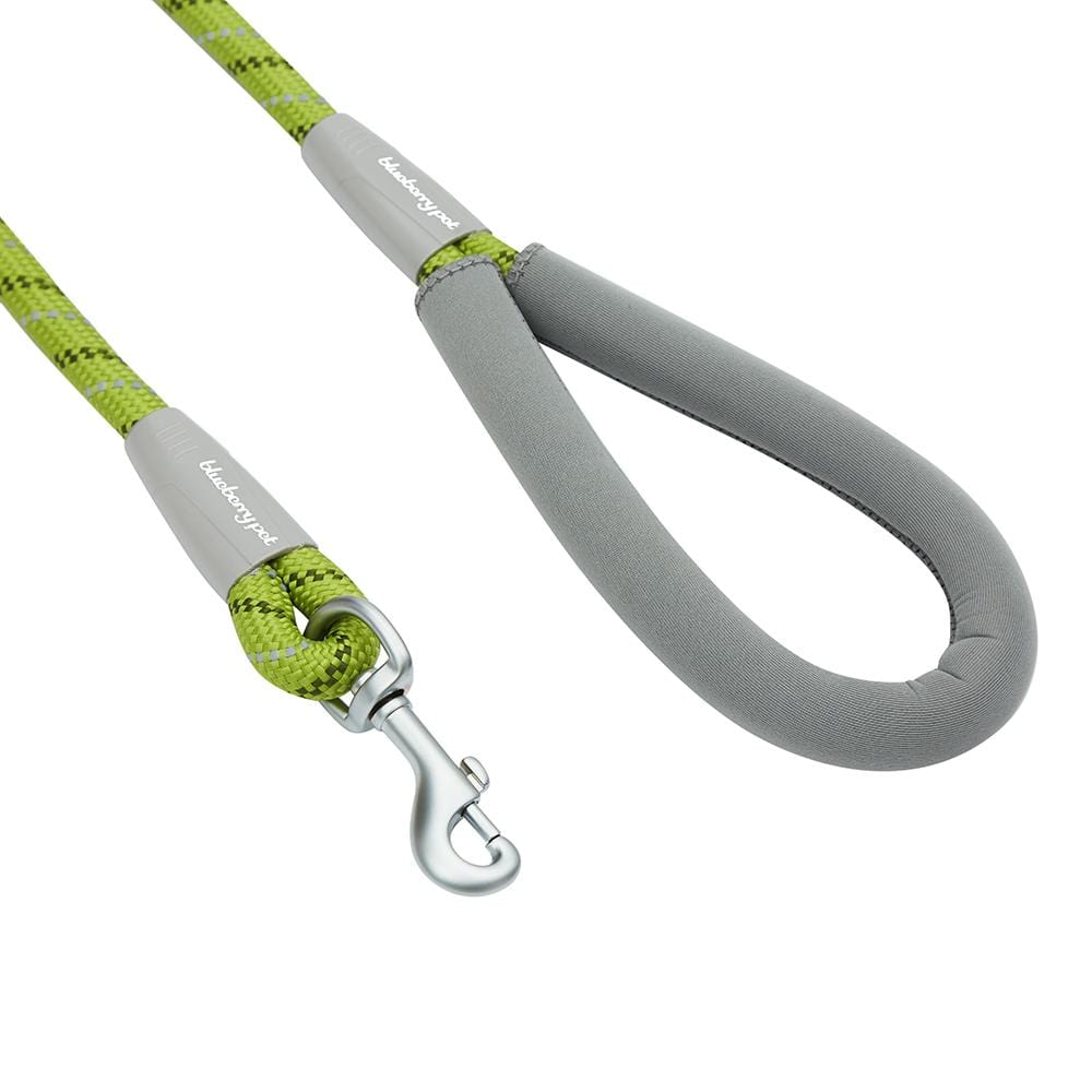 Blueberry Pet Diagonal Striped Rope Leash with Neoprene Handle, 4 ft Lime Green / 4'