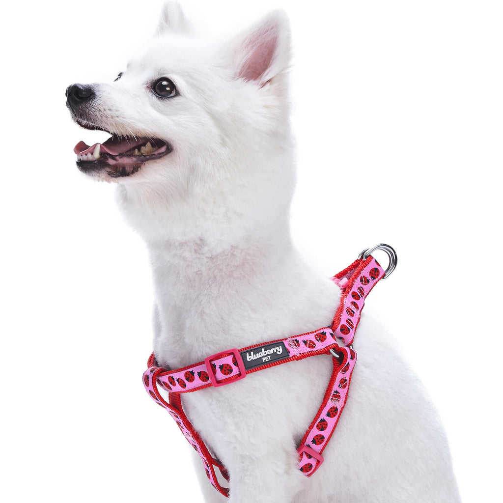 Blueberry Pet Durable Pink Webbing Ladybug Designer Dog Leash