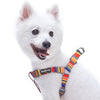 Dog Harness Essentials by Blueberry Pet Nautical Flag Dog Harness, Summer Vacation Beach Sea Lover Harness Nautical Flags / Small
