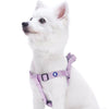Dog Harness Essentials by Blueberry Pet Nylon Adjustable Dog harness for Puppy S M L Girl Dogs, Purple Lavender / Small