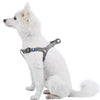 Dog Harness Essentials by Blueberry Pet Nylon Adjustable Dog harness for Puppy S M L Boy Girl Dogs, Black/Grey Flint Gray / Small