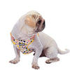 Dog Harness Blueberry Pet Made Well Floral Dog Harness Vest Creamy White / X-Small