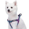 Dog Harness Blueberry Pet 3M Reflective Multi-colored Stripe Step-in Dog Harness Violet and Celeste / Small