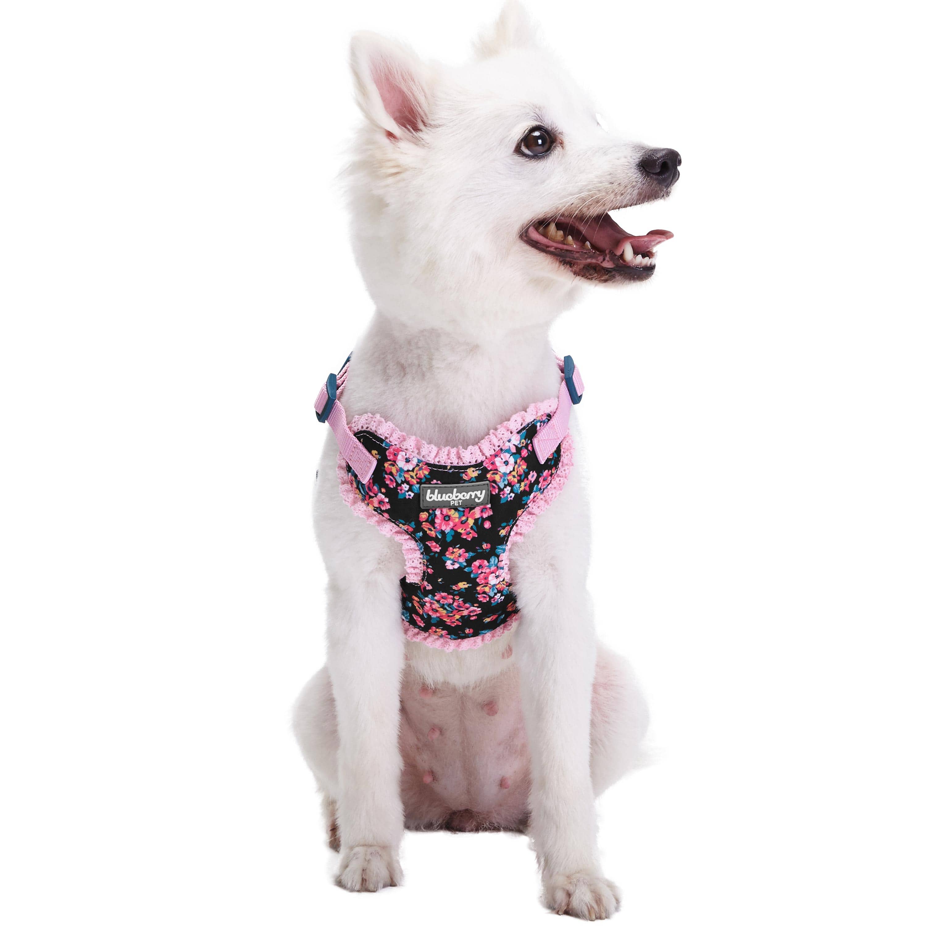 Made Well Floral Print Dog Harness Vest with Elegant Lace Made Well Floral Print Dog Harness Vest with Elegant Lace