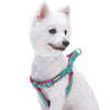 Dog Harness Essentials by Blueberry Pet Flamingo Ladybug Dog Harness, Summer Vcation Hawaiian Plam Leaves Harness Pink Flamingo / Small