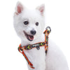 Dog Harness Blueberry Pet Southwestern Pattern Neoprene Padded Dog Harness Orange / XS/S