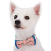 Dog Bowtie Blueberry Pet Paisley Bow Tie Set Paisley / Small
