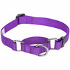 Dog Collar Essentials by Blueberry Pet Nylon Adjustable Martingale Purple Dog Collar for Puppy S M L Girl