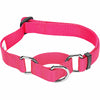 Dog Collar Essentials by Blueberry Pet Nylon Adjustable Martingale Dog Collar for Puppy S M L Girl, Pink French Pink / Small