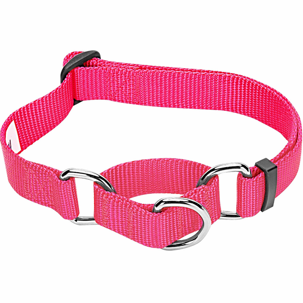 Pink Dog Collar and Leash Set Girl Dog Collar Pet Collar and 