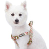 Dog Harness Blueberry Pet Spring Scent Inspired Floral Dog Harness Ivory / Small