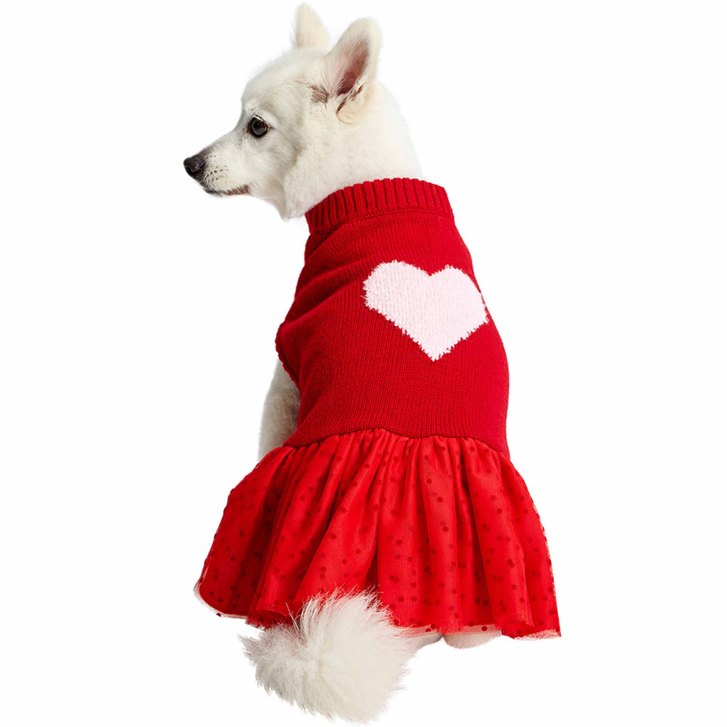 Designer Pet Accessories, Designer Dog Coats