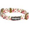 Dog Collar Blueberry Pet Spring Scent Inspired Floral Dog Collar Ivory / Small