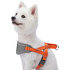 Dog Harness Blueberry Pet Easy On/Off | 3M Reflective Strips Neoprene Padded Dog Harness Passion Orange / Small