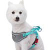 Dog Harness Blueberry Pet Easy On/Off | 3M Reflective Strips Neoprene Padded Dog Harness Lake Blue / Small
