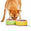 Dog Bowl Blueberry Pet Collapsible Dog Travel Bowl Lime Green and Yellow