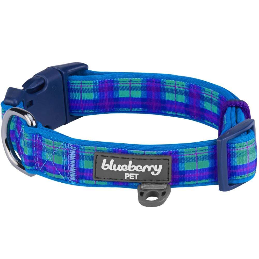 Tartan dog collar pets at home clearance
