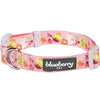 Dog Collar Blueberry Pet Easter Spring Dog Collar Easter Chick Print / Small