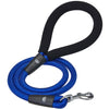 Dog Leash Essentials by Blueberry Pet Nylon Dog Rope Leash with Neoprene Handle for Girl Boy, 4ft, Blue Pink Royal Blue / 4'