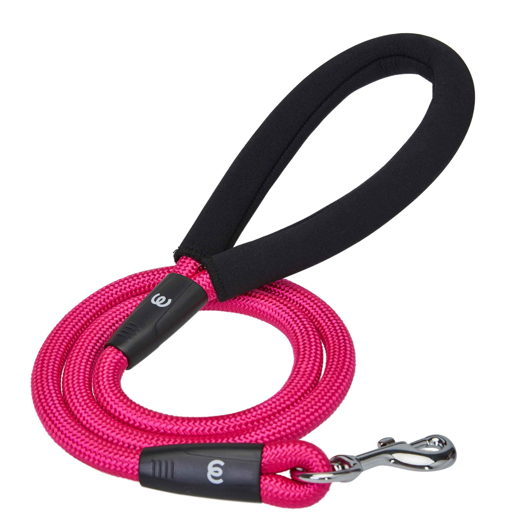 Nylon Dog Rope Leash With Neoprene Handle 4ft Blue Pink