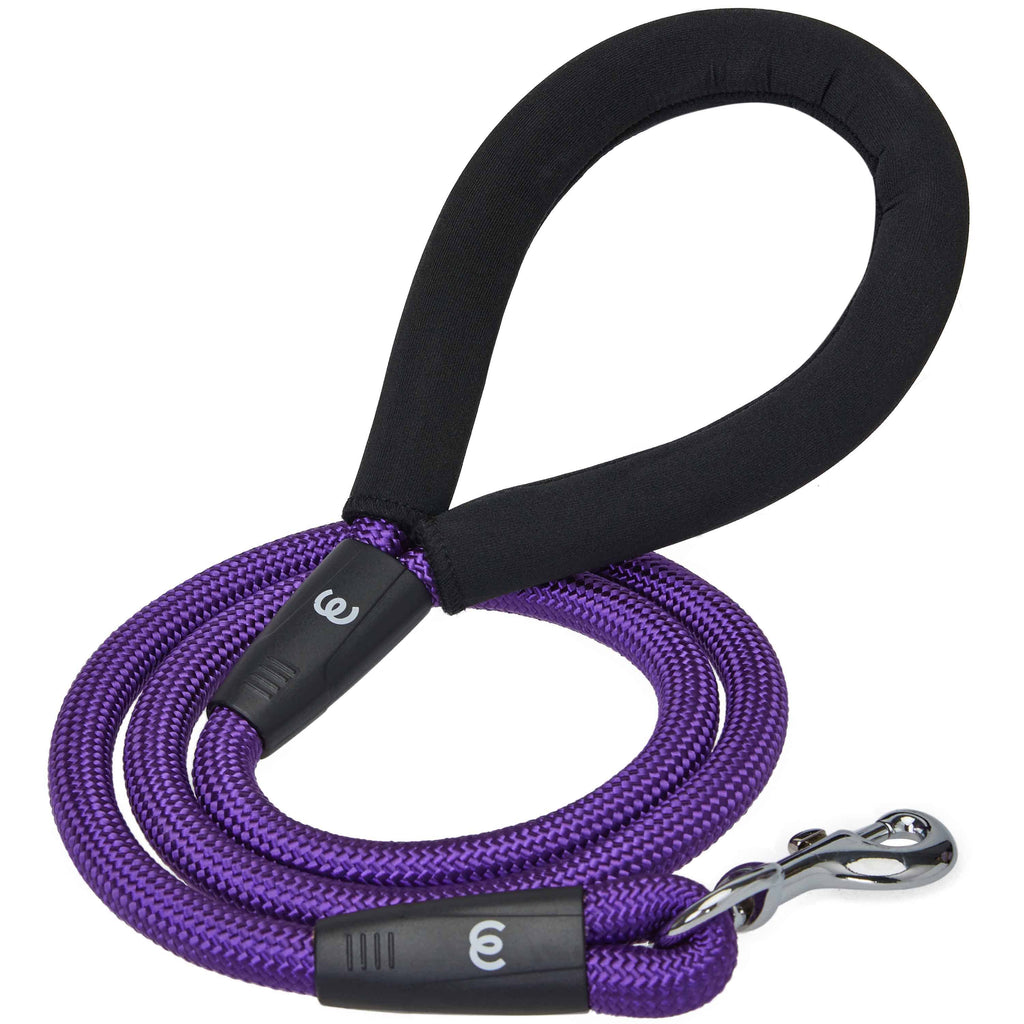 Blueberry Pet Better Basics Dog Rope Leash With Neoprene Handle, 4 ft Turquoise / 4'