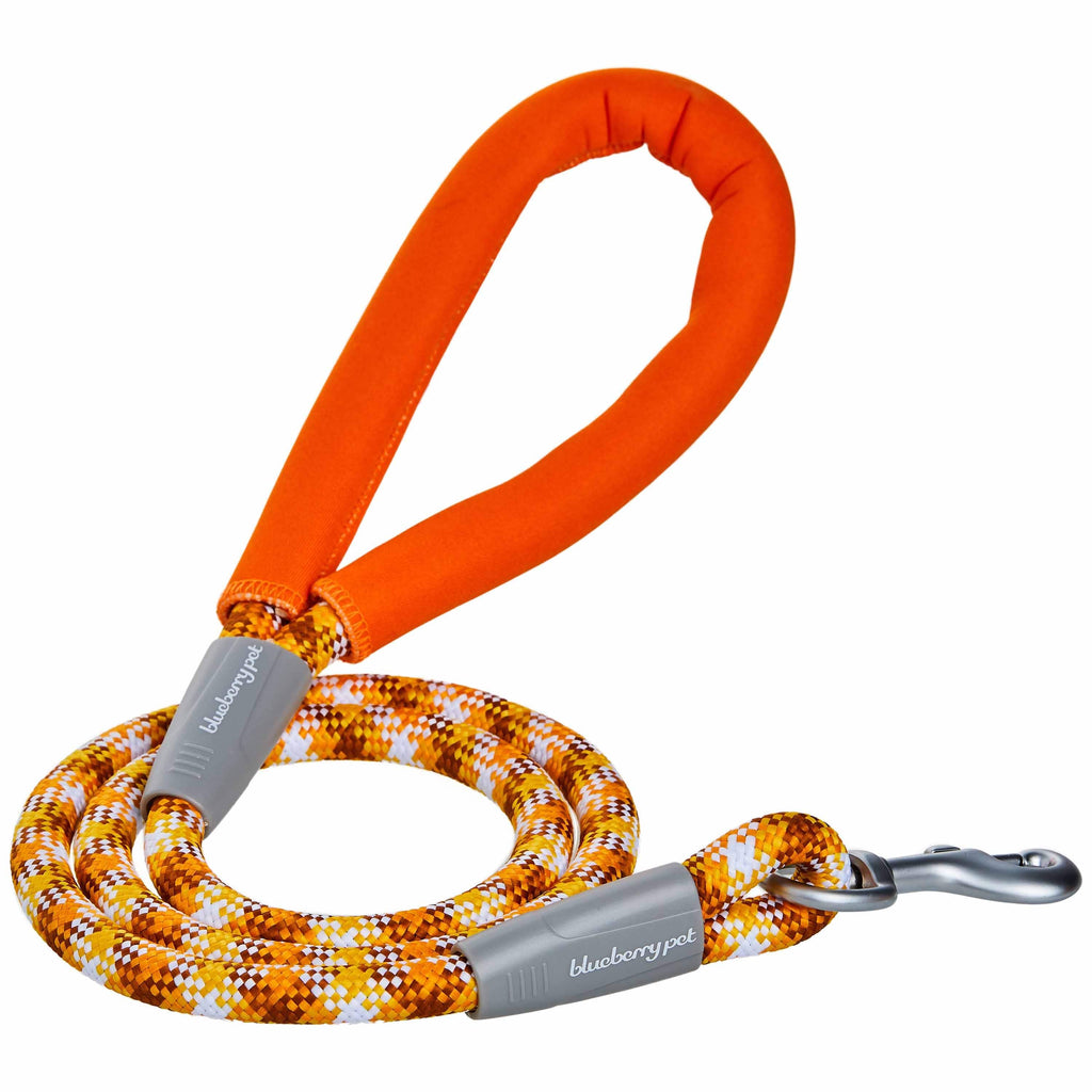 Blueberry Pet Neoprene Handle Rope Leash in Diagonal Stripe
