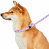 Dog Leash Blueberry Pet Neoprene Handle Collar Leash Training Set in Diagonal Striped, 6 ft Lavender / 6'