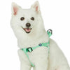 Dog Harness Essentials by Blueberry Pet Nylon Adjustable Dog harness for Puppy S M L Boy Girl Dogs, Green Pastel Green / Small