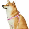 Dog Harness Essentials by Blueberry Pet Nylon Adjustable Dog harness for Puppy S M L Girl Dogs, Pink/Red Fuchsia Pink / Small