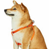 Dog Harness Essentials by Blueberry Pet Nylon Adjustable Dog harness for Puppy S M L Boy Girl Dogs, Yellow/Orange Orange Vermilion / Small
