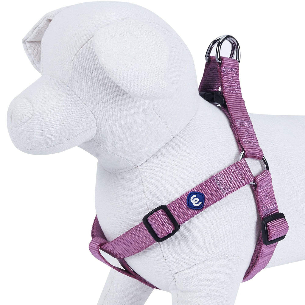 Dog Leash Luv On A Leash Dog Safety Leash 3/4