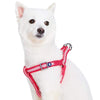 Dog Harness Essentials by Blueberry Pet Back to Basics Reflective Dog Harness
