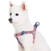 Exclusive · Dog Harness Essentials by Blueberry Pet American Flag Dog Harness USA Flag / Small