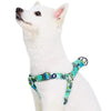 Exclusive · Dog Harness Essentials by Blueberry Pet Summer Vacation Tropical Dog Harness, Palm Leaves Bahamas Hawaiian Harness Bahamas Vacation / Small