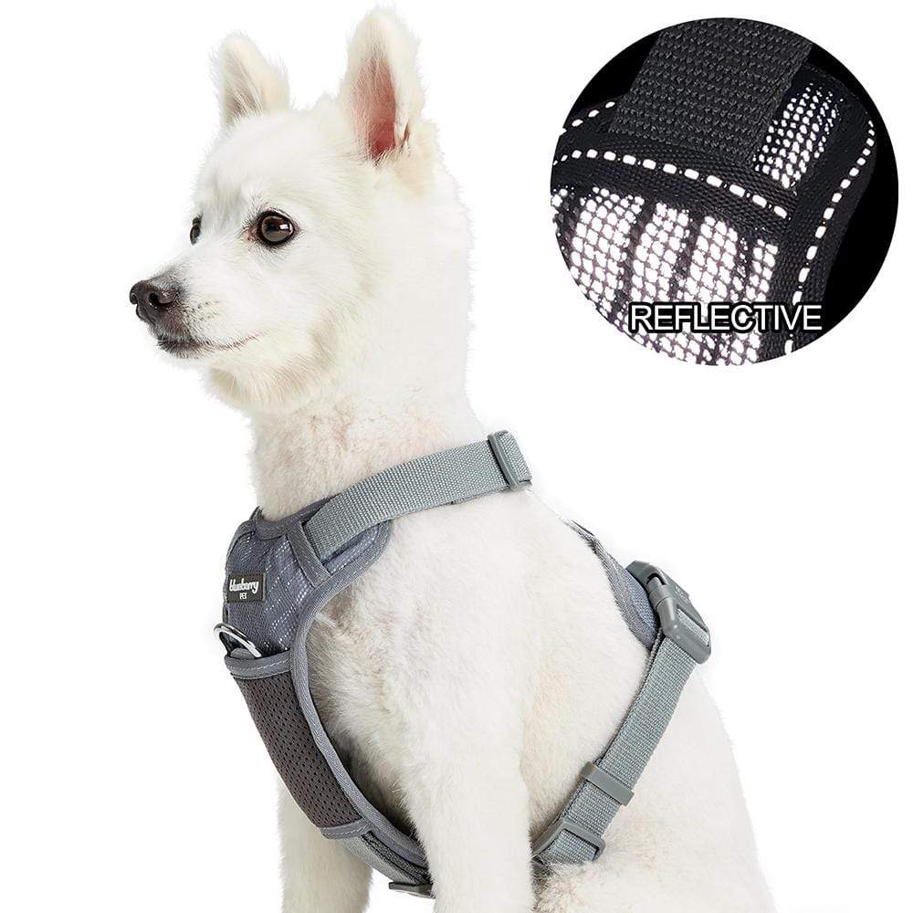  Comfort Fit, Soft Padded and Lightweight Dog Harness, Step in  Dog Vest Harness for Small & Medium Dogs, Blue, XS, Chest 11-12 : Pet  Supplies