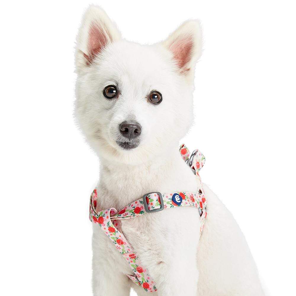 Blueberry Pet Spring Scent Inspired Garden Floral Dog Harness