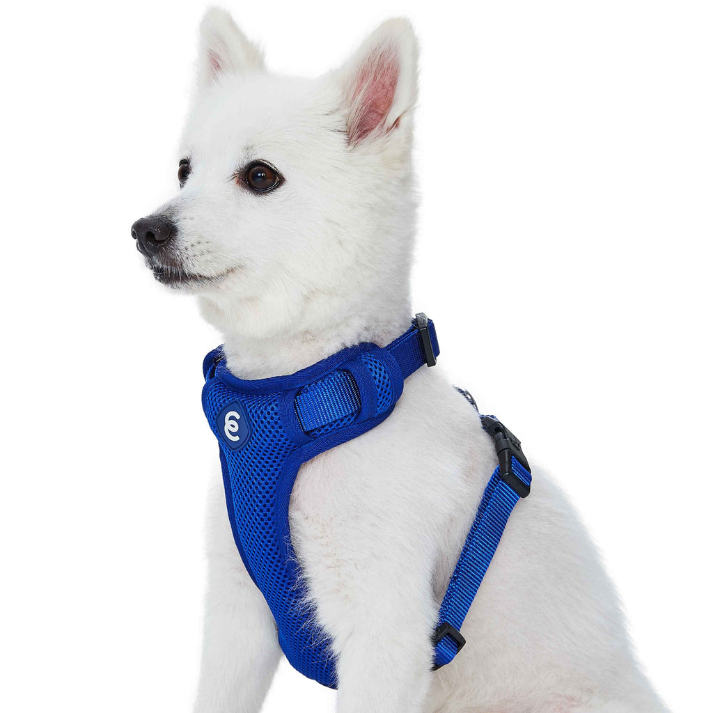 H Shape Adjustable Nylon Harness Vest for Girl Boy Dogs, Blue Pink Gre –  Blueberry Pet