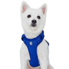 Dog Harness Essentials by Blueberry Pet H Shape Adjustable Nylon Harness Vest for Girl Boy Dogs, Blue Pink Green.. Royal Blue / Small