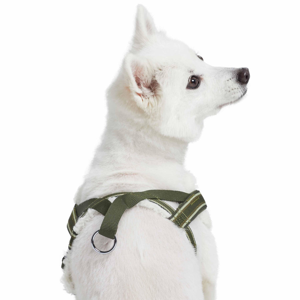 Sherpa lined on sale dog harness