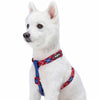 Dog Harness Blueberry Pet Dog Harness in Scottish Argyle Merlot Red / Small