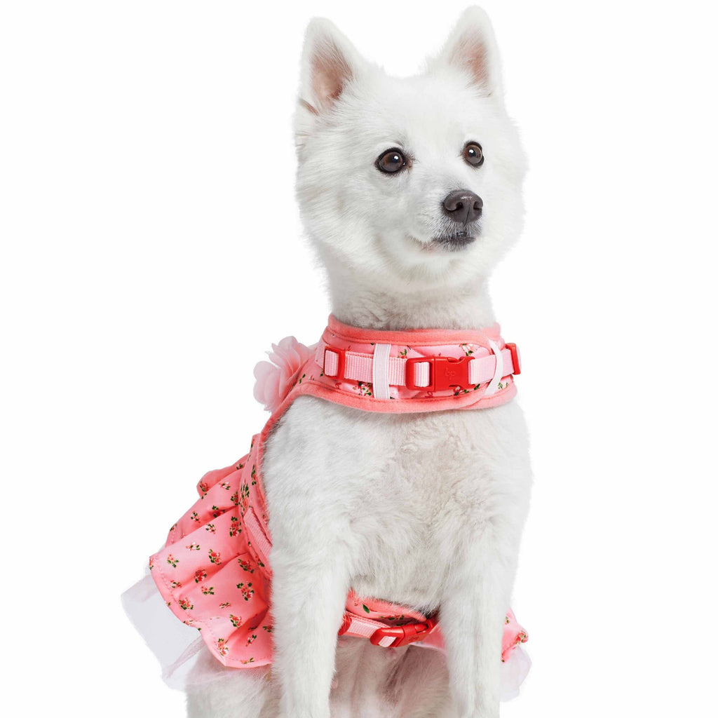 Dog harness top with skirt