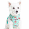 Dog Harness Blueberry Pet Spring Scent Inspired Floral Dog Harness Vest Turquoise / X-Small