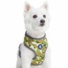 Dog Harness Essentials by Blueberry Pet Camouflage Dog Harness Vest Green Camo / X-Small