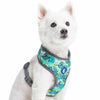 Dog Harness Essentials by Blueberry Pet Summer Vacation Tropical Dog Harness Vest, Palm Leaves Hawaiian Harness Bahamas Vacation / X-Small