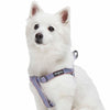 Dog Harness Blueberry Pet Multicolor Braids Dog Harness Multicolor Braids / Small