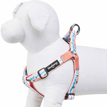 Dog Collars Leashes and Harnesses Dog Apparels Dog Beds Accessories Blueberry Pet