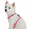 Dog Harness Blueberry Pet Velvety Heart Flocking Dog Harness H-Shape - Pink Carnation / Small
