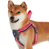 Dog Harness Essentials by Blueberry Pet Back to Basics Reflective Dog Harness with Treat Pocket