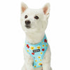 Dog Harness Blueberry Pet Tropical Flower Dog Harness Vest Celeste Blue / X-Small